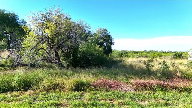 a body of water with a tree in the background