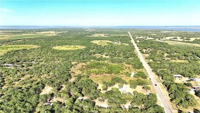 a view of a garden with plants