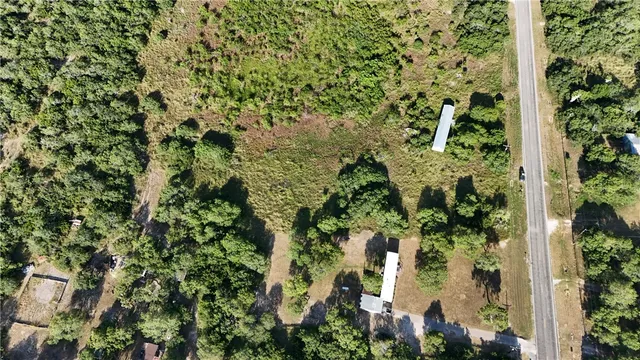 a view of a garden with plants