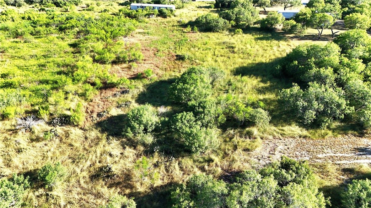 810 East Fm 771 Riviera, TX 78379 - Photo 8 of 10