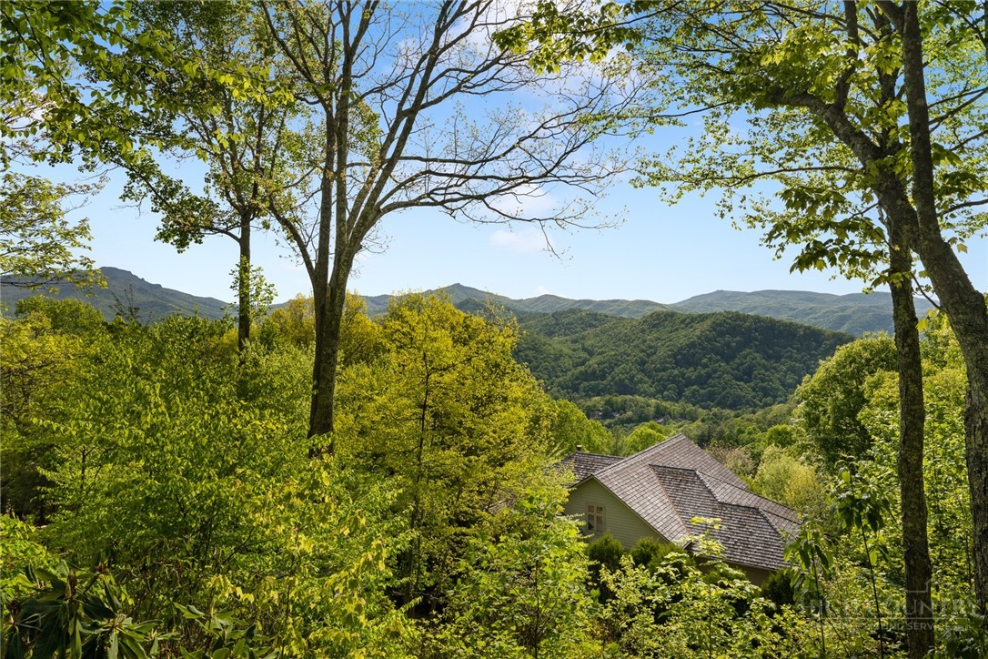 246 Mulberry Lane Boone, NC 28607 - Photo 16 of 49 a view of a forest with a tree