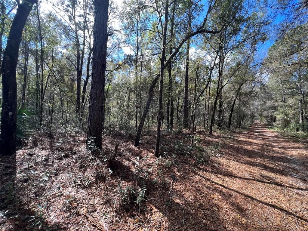 10049 North Booty Ter  