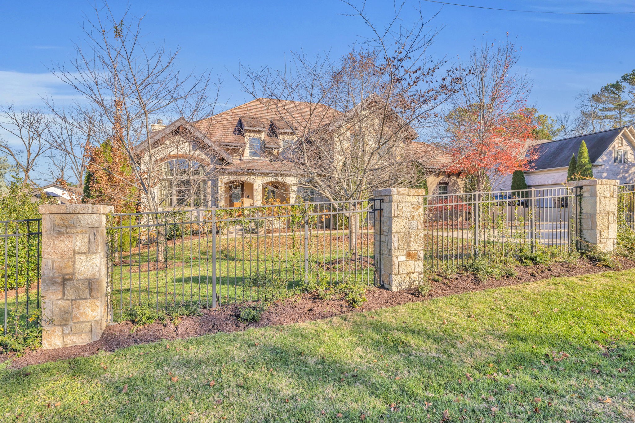 a view of a backyard with plants