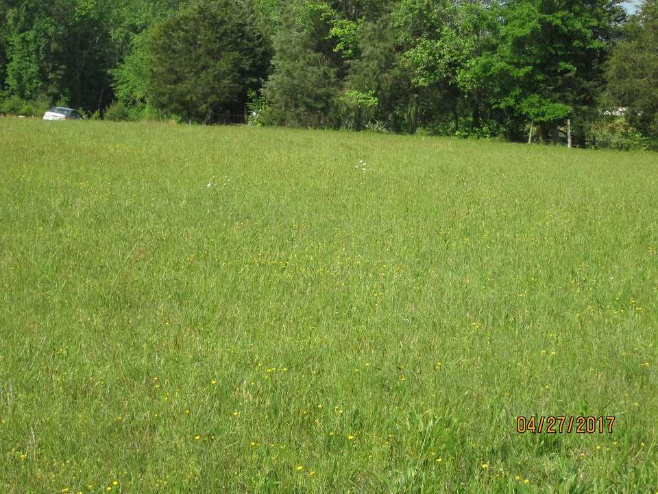 Dortch Road Norlina, NC 27563 - Photo 1 of 3 Photo 1