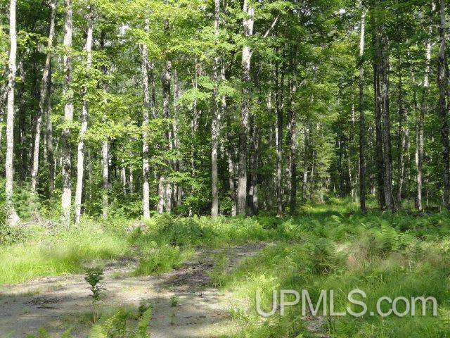 Tbd Norway Lake Road Sidnaw, MI 49961 - Photo 15 of 17