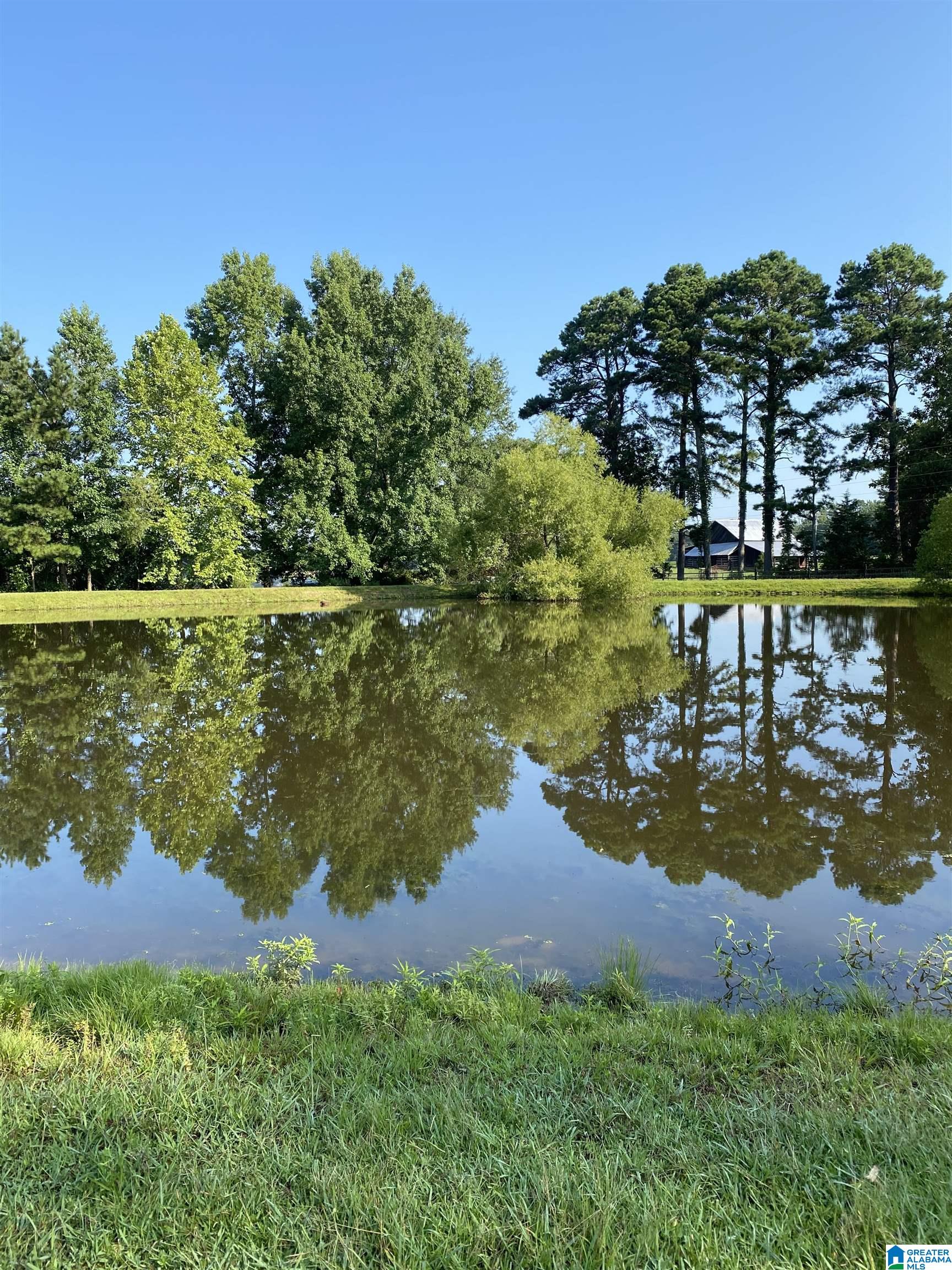 1661 Honeycutt Road Locust Fork, AL 35097 - Photo 6 of 49