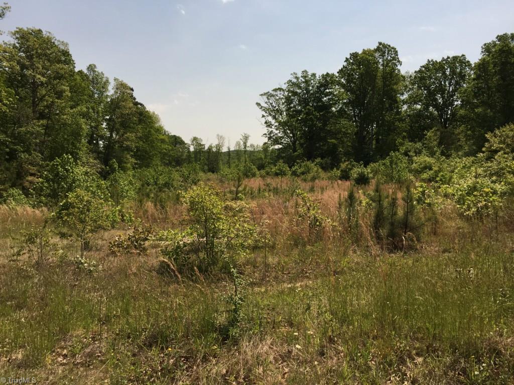 0 Caudle Road Randleman, NC 27317 - Photo 1 of 1 Gallery Image 1