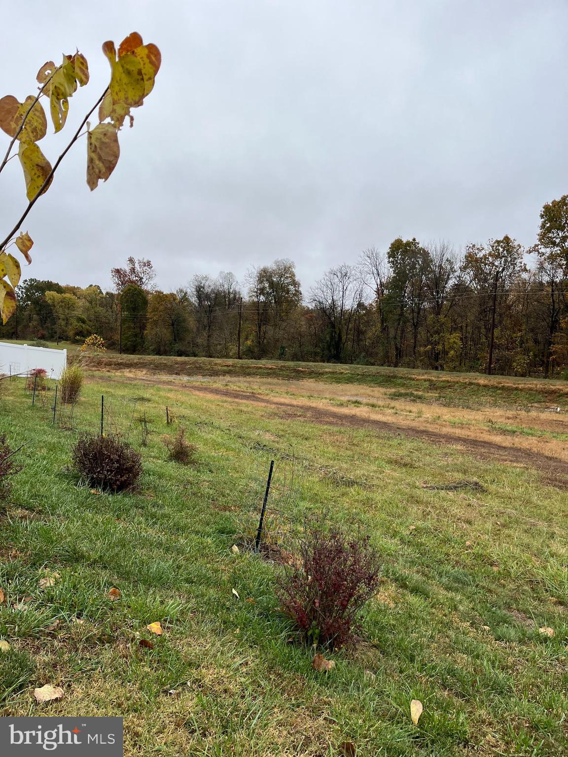 104 Rappahannock Run Falling Waters, WV 25419 - Photo 52 of 54 a view of a big yard
