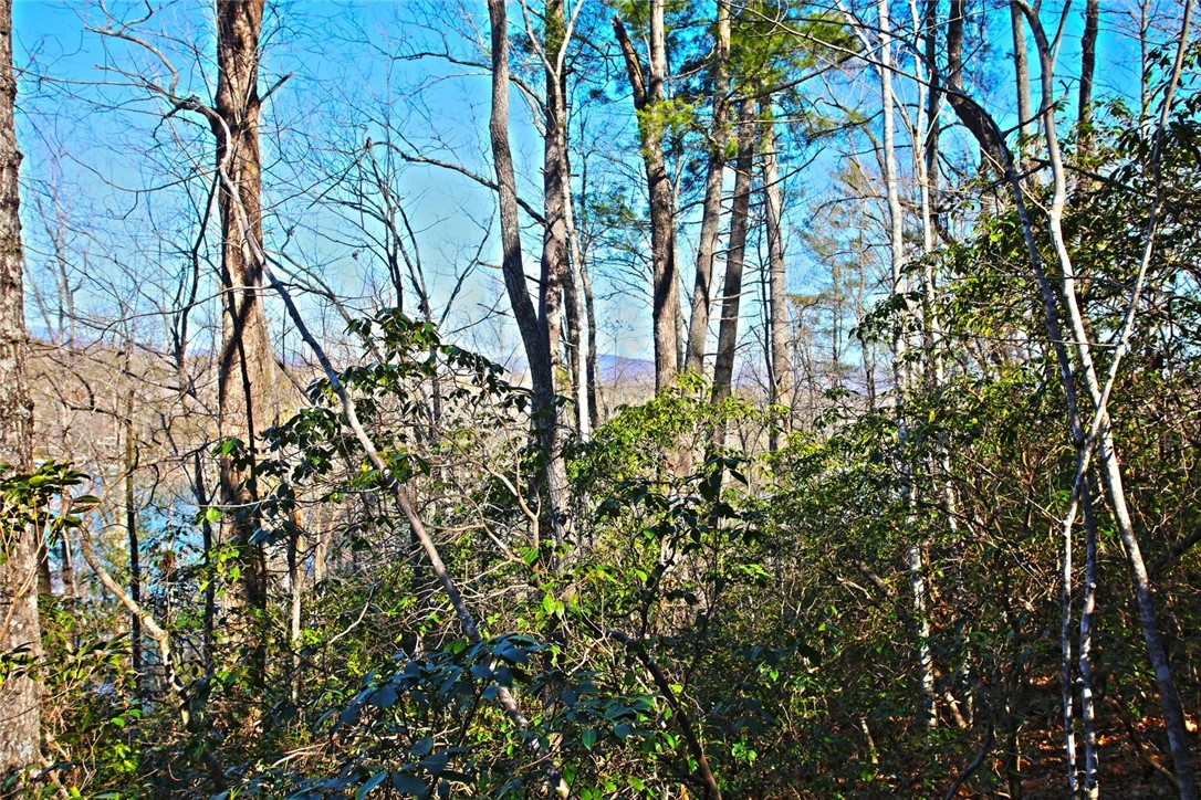 Lot 32 Bay Ridge Salem, SC 29676 - Photo 11 of 38 Gallery Image 11