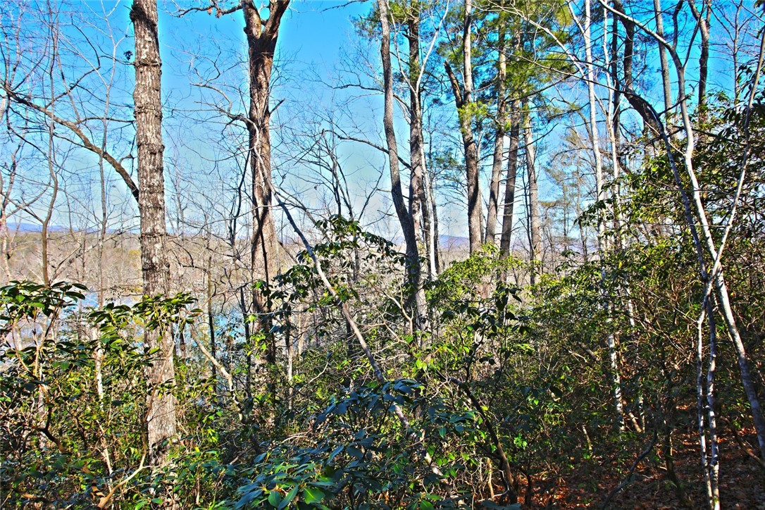 Lot 32 Bay Ridge Salem, SC 29676 - Photo 12 of 38 Gallery Image 12