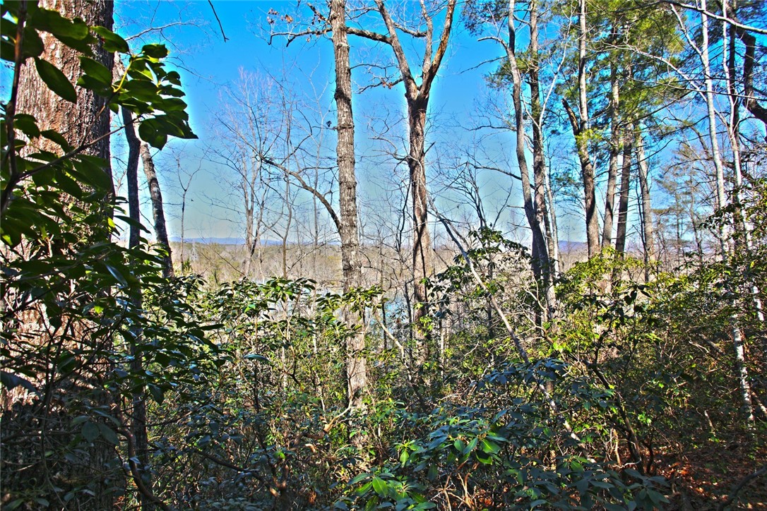 Lot 32 Bay Ridge Salem, SC 29676 - Photo 14 of 38 Gallery Image 14
