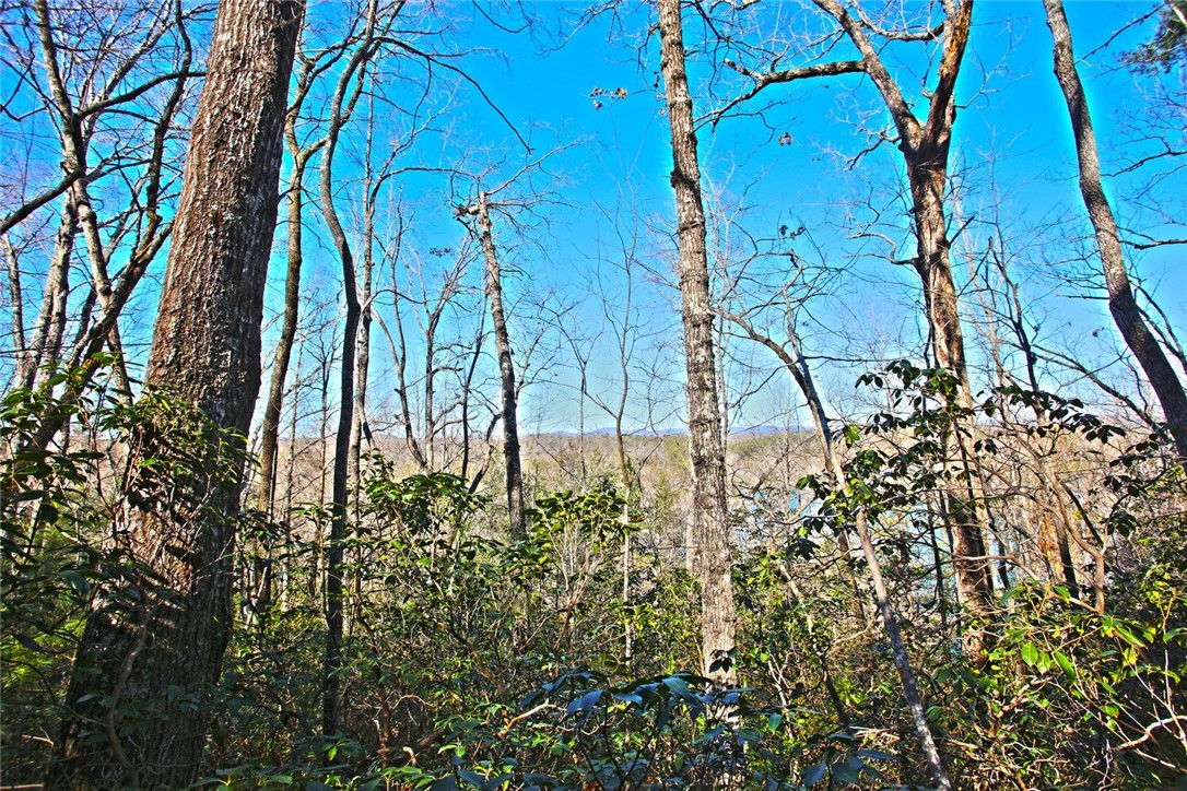 Lot 32 Bay Ridge Salem, SC 29676 - Photo 15 of 38 Gallery Image 15