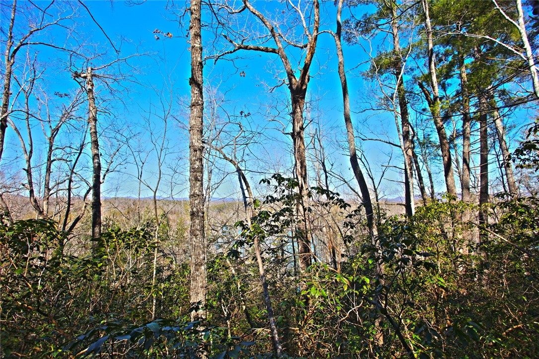 Lot 32 Bay Ridge Salem, SC 29676 - Photo 16 of 38 Gallery Image 16
