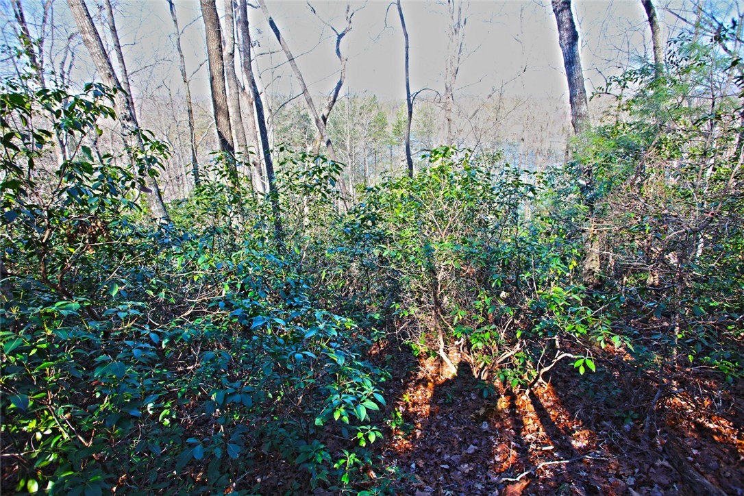 Lot 32 Bay Ridge Salem, SC 29676 - Photo 17 of 38 Gallery Image 17