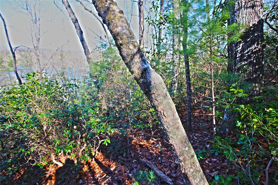 Lot 32 Bay Ridge Salem, SC 29676 - Photo 19 of 38 Gallery Image 19