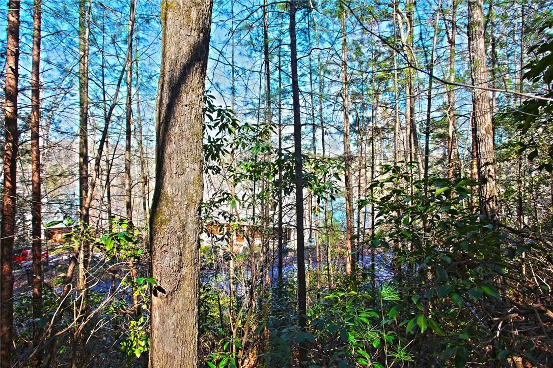 Lot 32 Bay Ridge Salem, SC 29676 - Photo 21 of 38 Gallery Image 21
