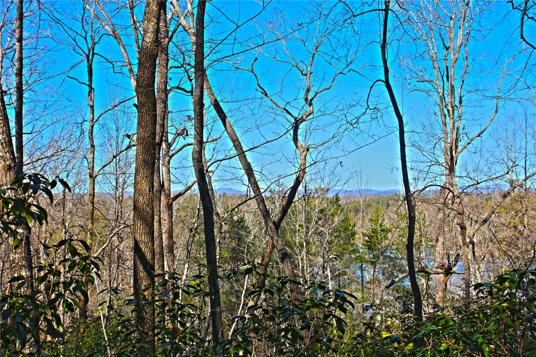 Lot 32 Bay Ridge Salem, SC 29676 - Photo 7 of 38 Gallery Image 7