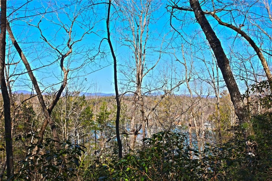 Lot 32 Bay Ridge Salem, SC 29676 - Photo 8 of 38 Gallery Image 8