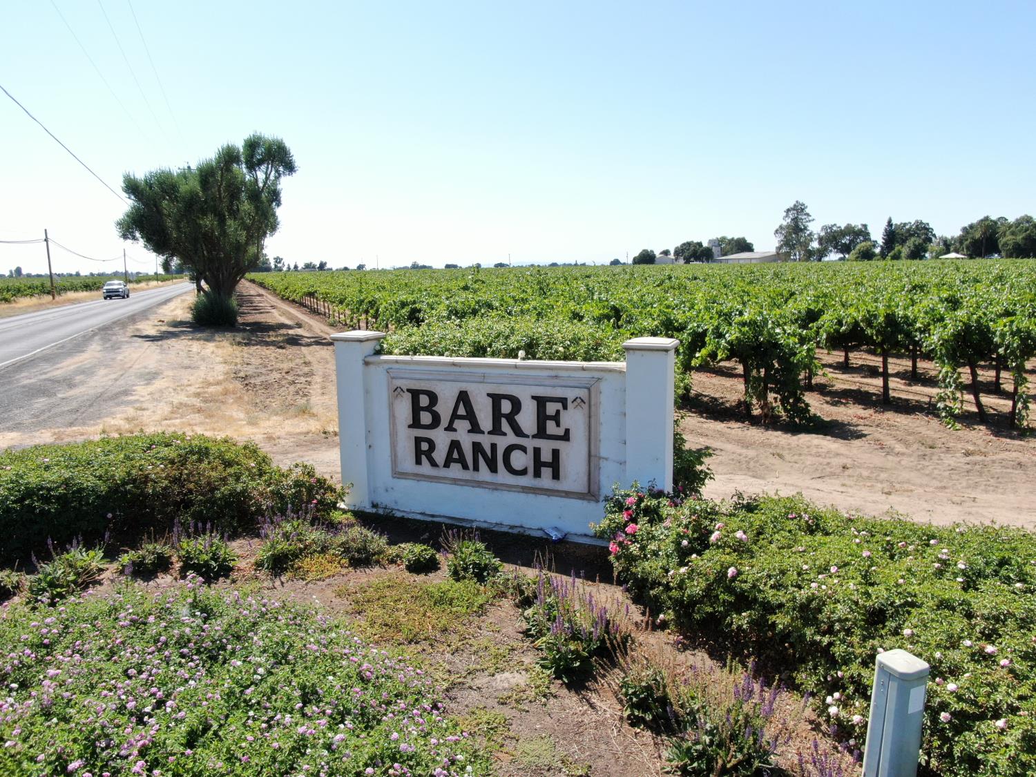 19877 North Davis Road Lodi, CA 95242 - Photo 17 of 17