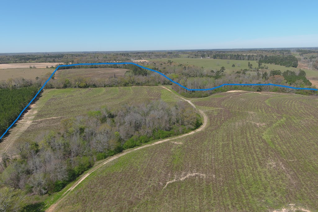 0 Macedonia Ch Road Columbia, AL 36319 - Photo 9 of 61