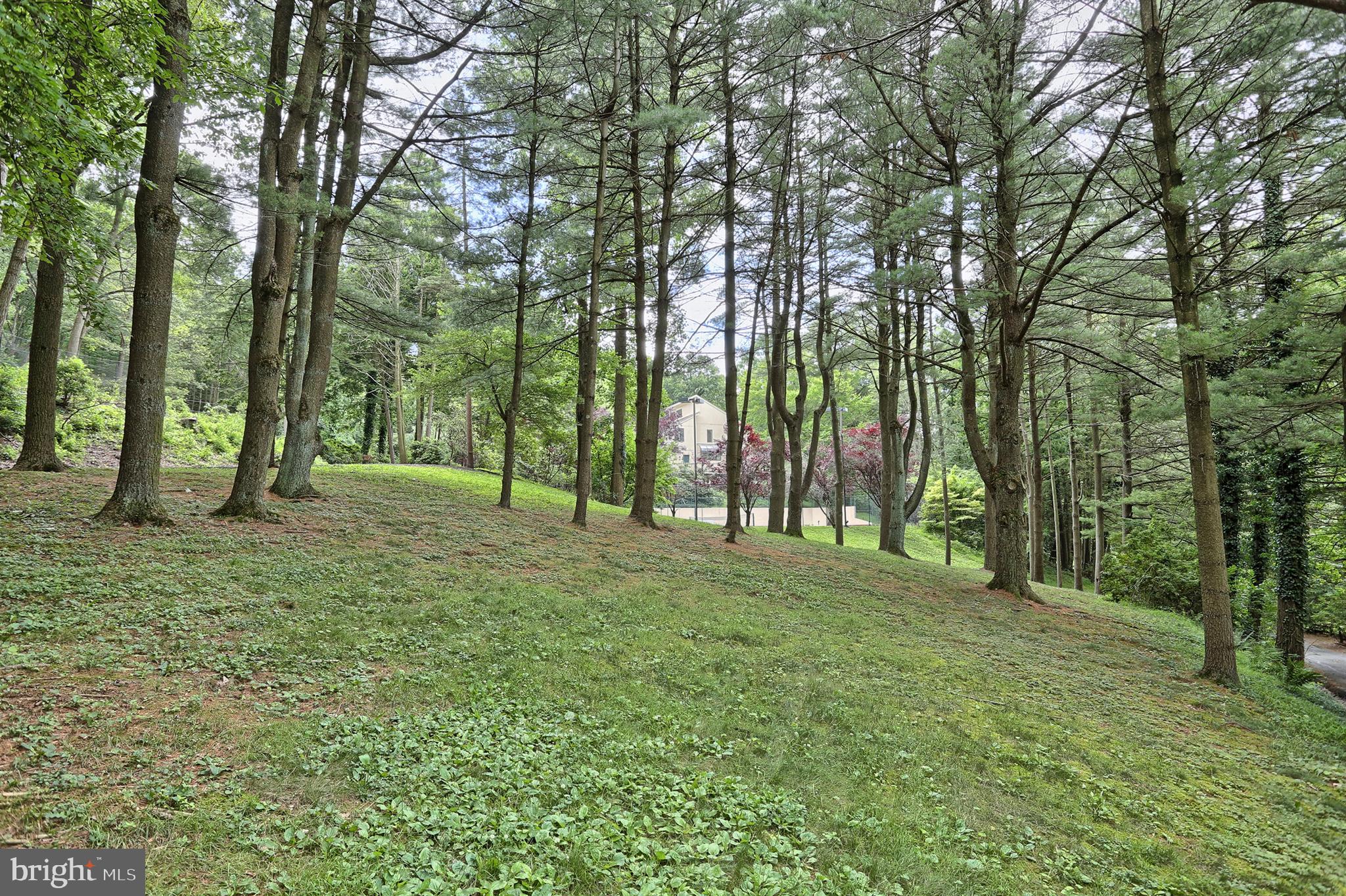 165 Deer Hill Road Reading, PA 19607 - Photo 8 of 76 Gallery Image 8