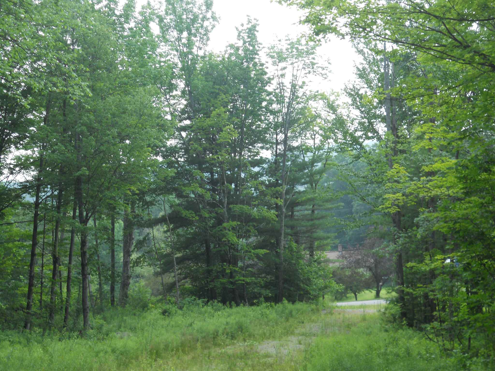 52 Prospect Hill Road Sunapee, NH 03782 - Photo 14 of 21