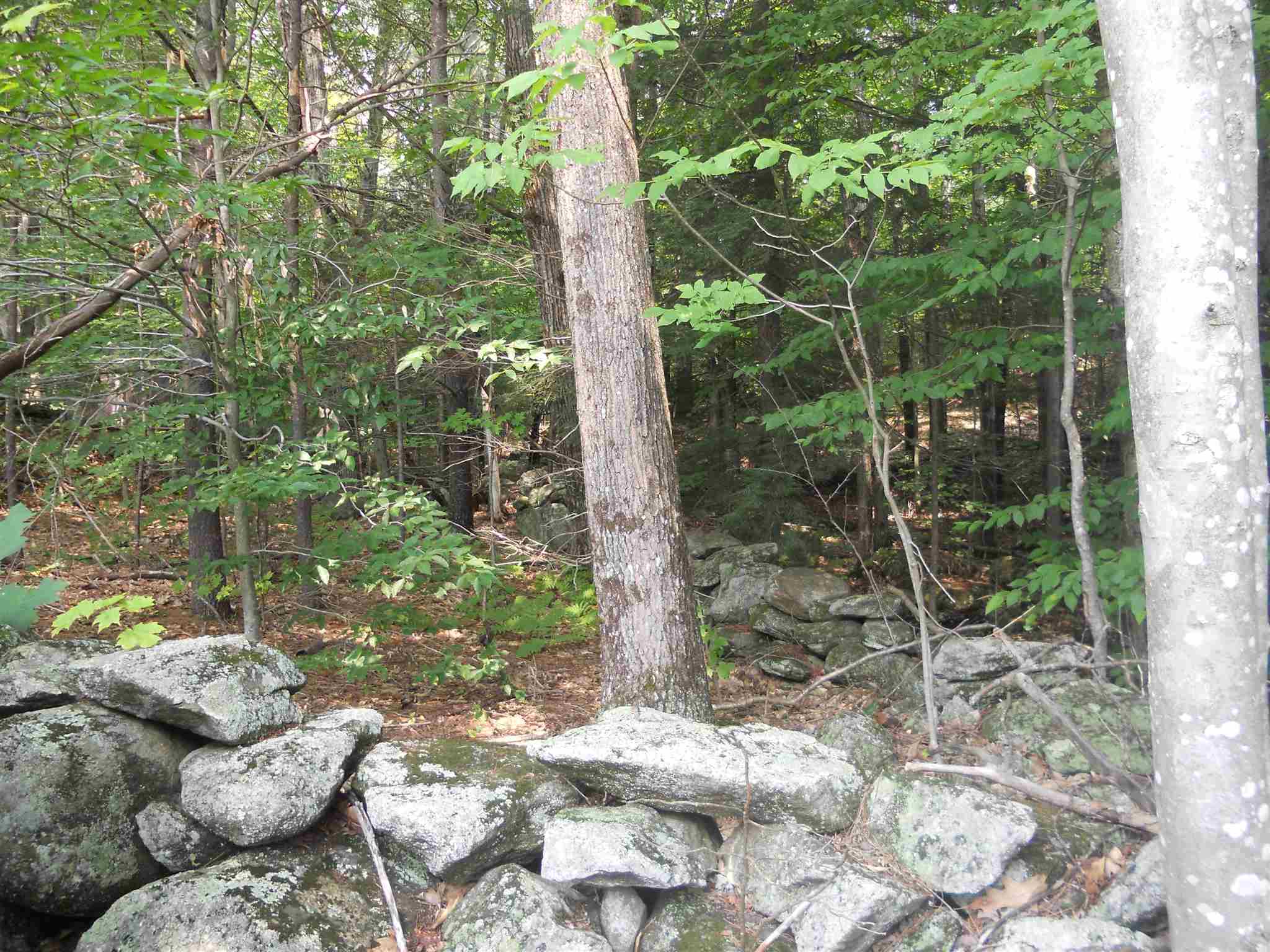 52 Prospect Hill Road Sunapee, NH 03782 - Photo 3 of 21