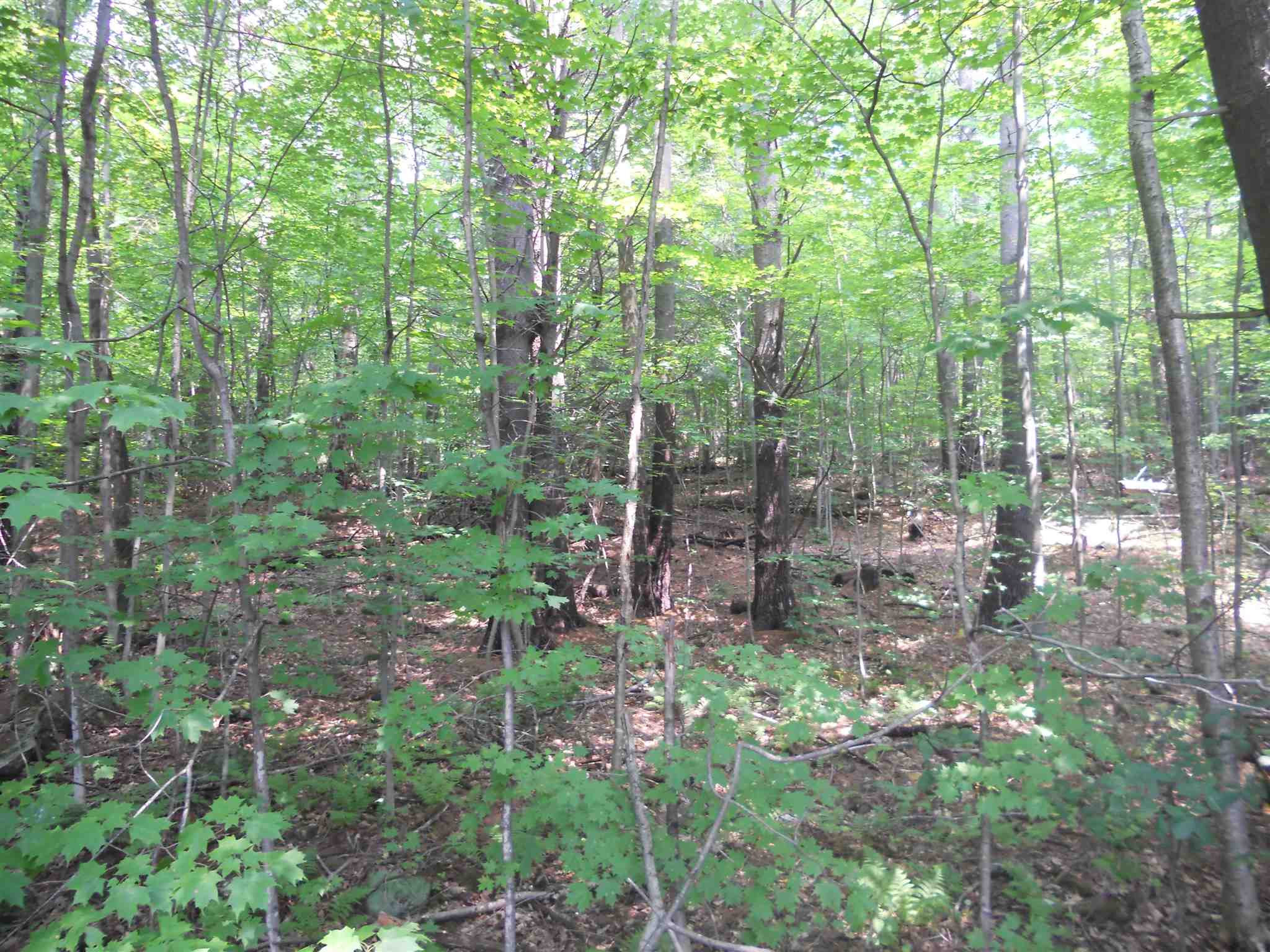 52 Prospect Hill Road Sunapee, NH 03782 - Photo 8 of 21
