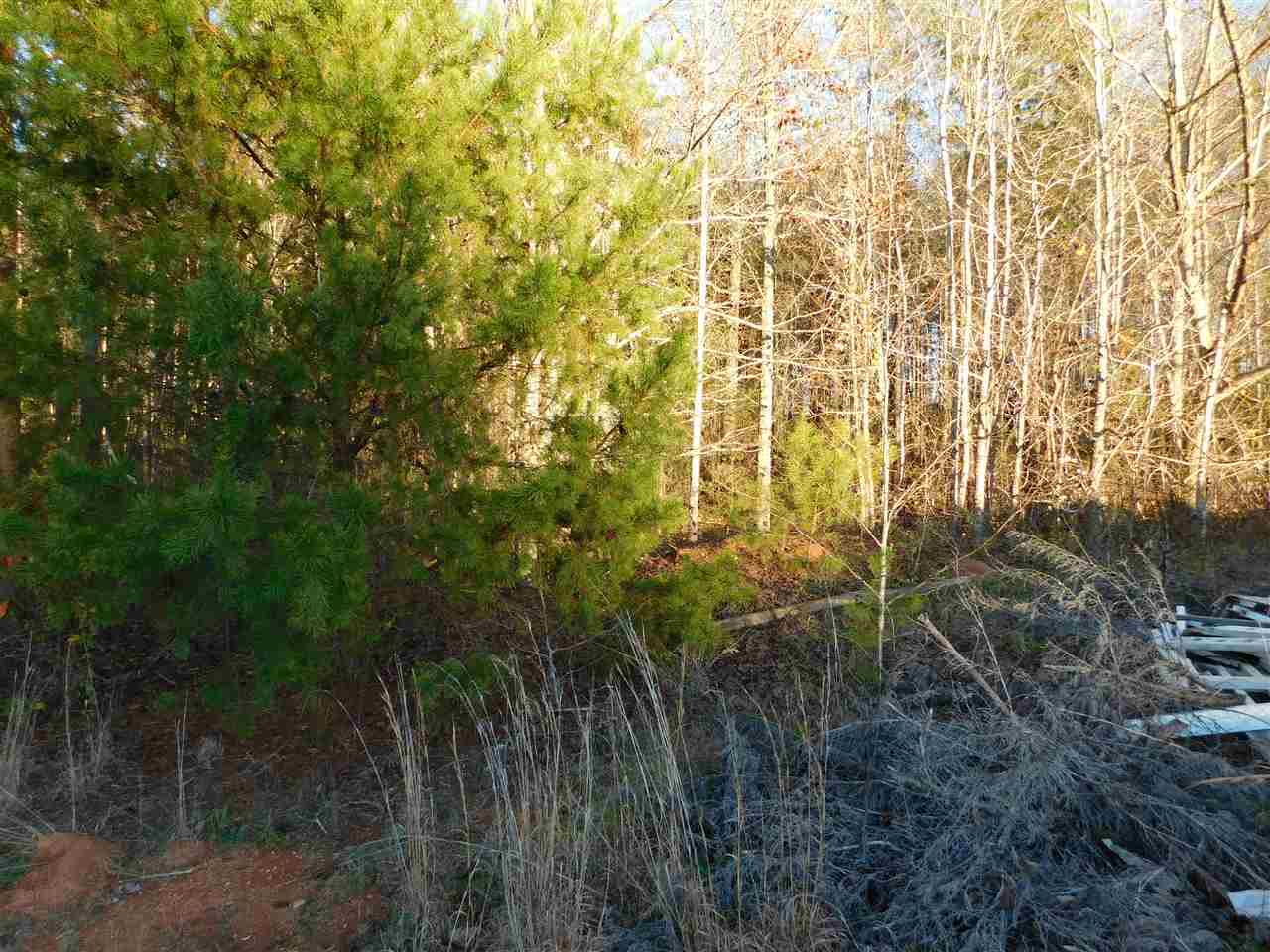 236 Christopher Lane Union, SC 29379 - Photo 24 of 24 Gallery Image 24