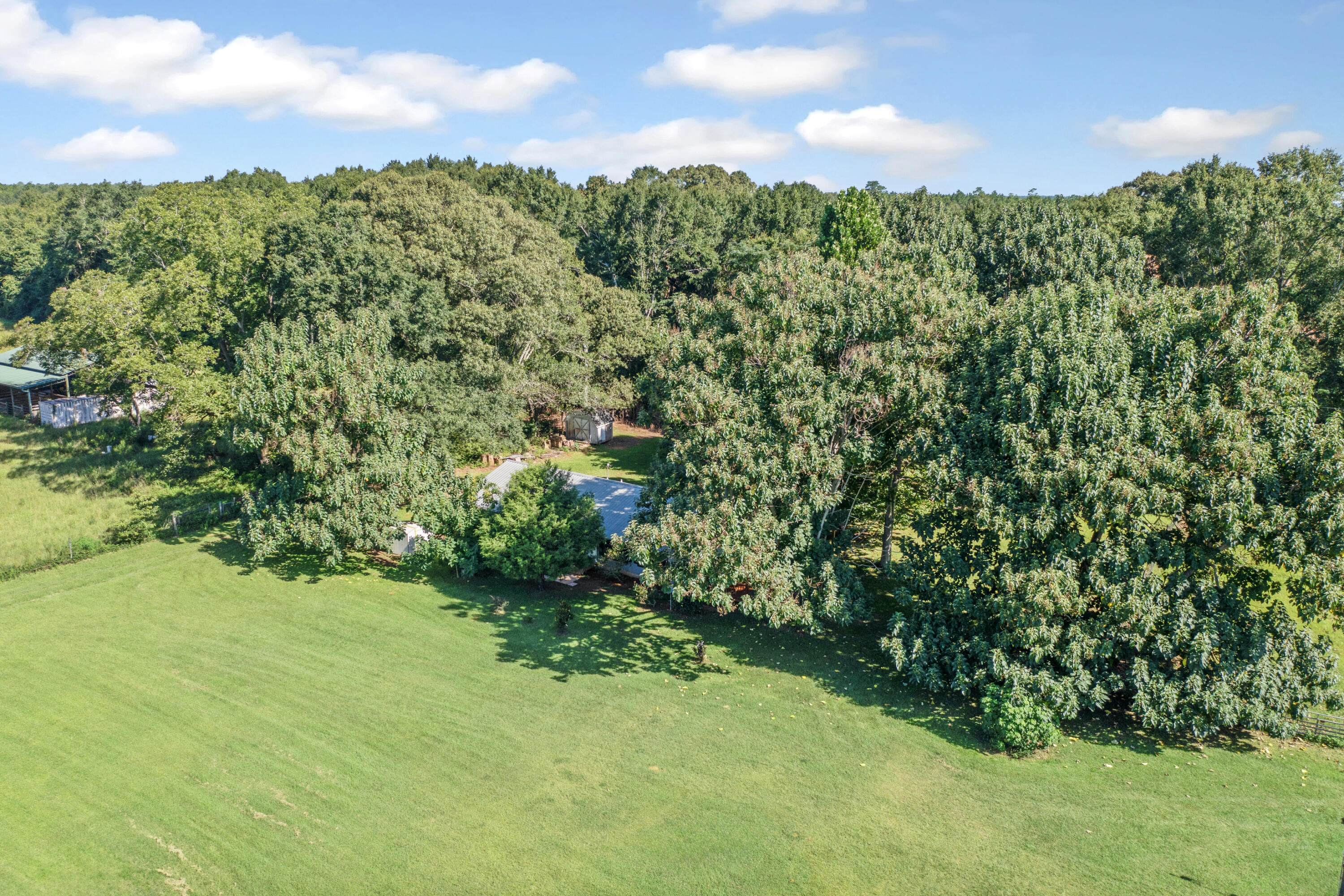 190 Peaden Bridge Road Baker, FL 32531 - Photo 56 of 73 55-56