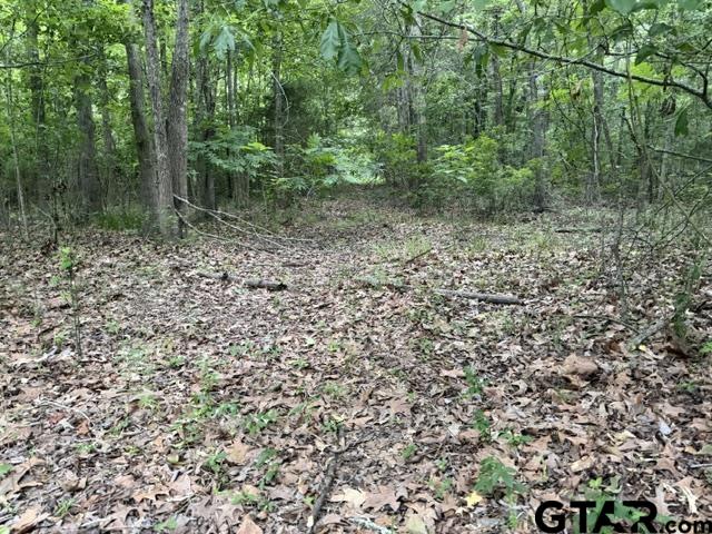 0 County Road 1204 Rusk, TX 75785 - Photo 28 of 32