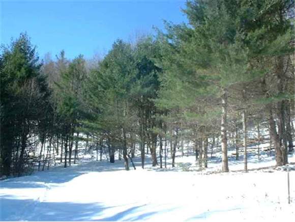 2 Appleridge Road Weathersfield, VT 05151 - Photo 1 of 1 Gallery Image 1