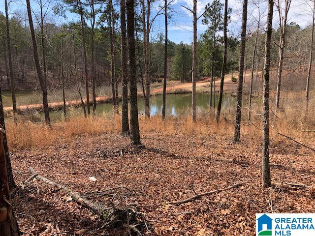 208 County Road, Unit 4 43 Heflin, AL 36264 - Photo 3 of 4