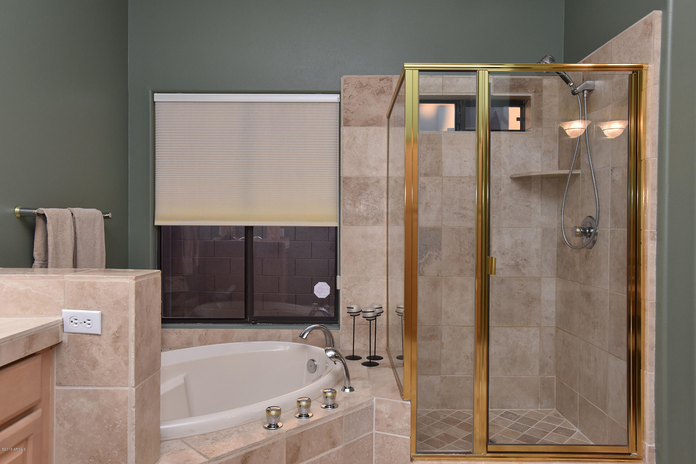 4213 North Recker Road Mesa, AZ 85215 - Photo 14 of 84 Tub Shower