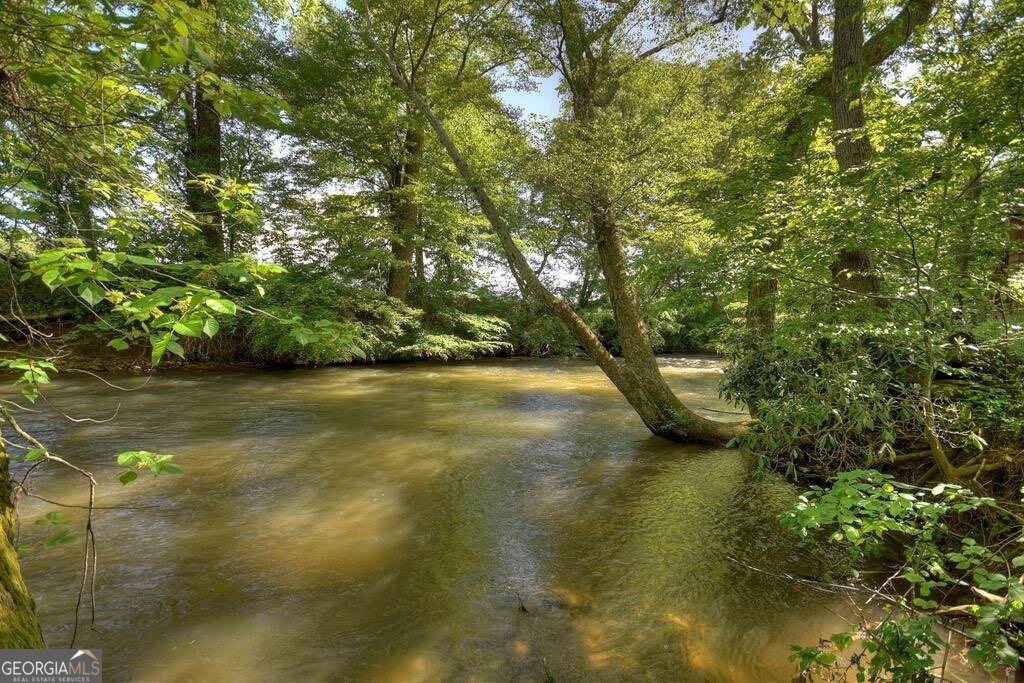 Lot 10 Cartecay Riv Run Ellijay, GA 30536 - Photo 12 of 17