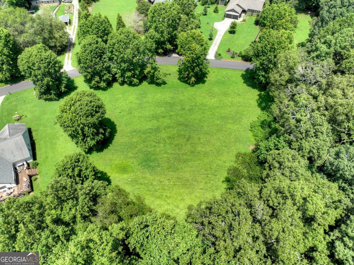 Lot 10 Cartecay Riv Run Ellijay, GA 30536 - Photo 13 of 17 an aerial view of a garden with plants