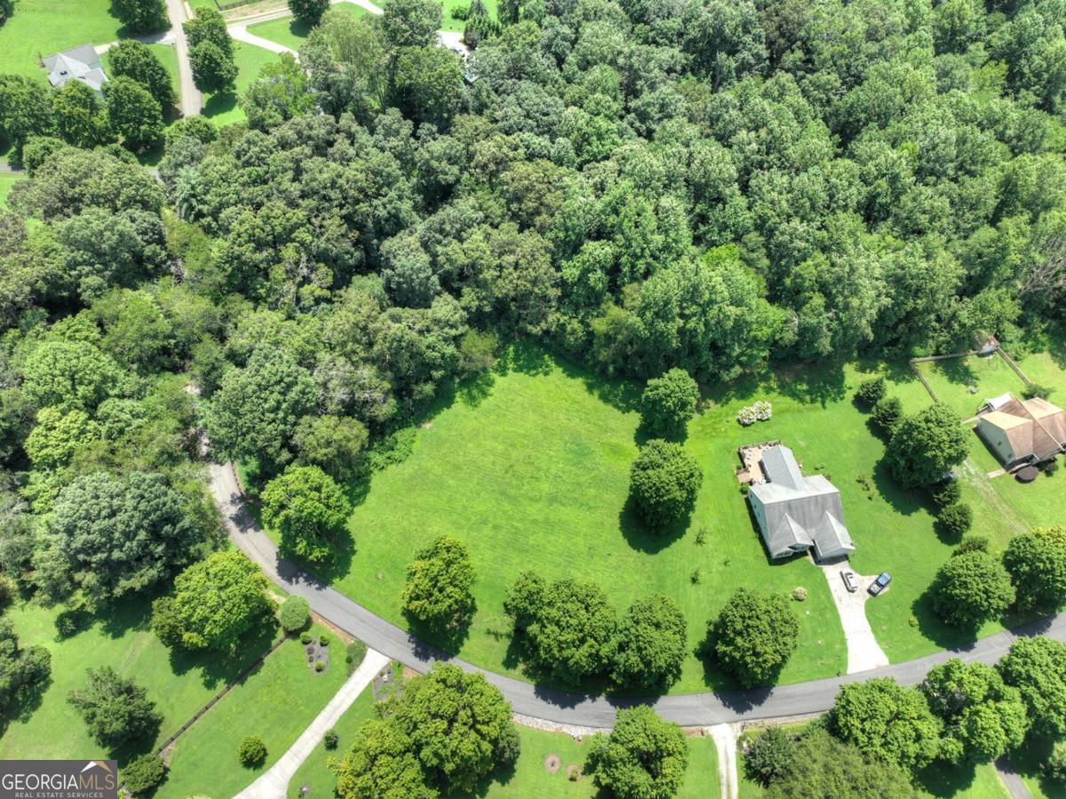Lot 10 Cartecay Riv Run Ellijay, GA 30536 - Photo 16 of 17 an aerial view of garden space with swimming pool