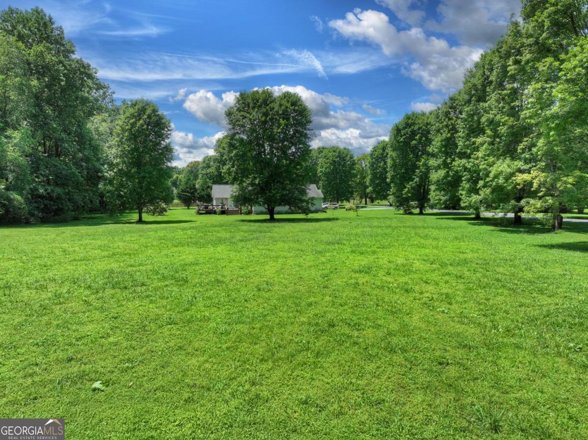 Lot 10 Cartecay Riv Run Ellijay, GA 30536 - Photo 4 of 17 a view of a big yard with a big trees and plants