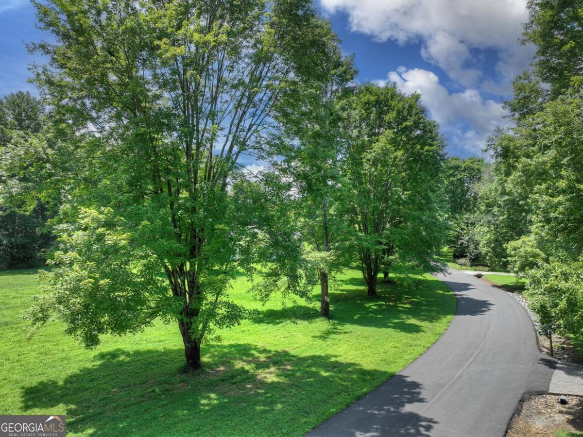 Lot 10 Cartecay Riv Run Ellijay, GA 30536 - Photo 5 of 17 a view of a lush green space