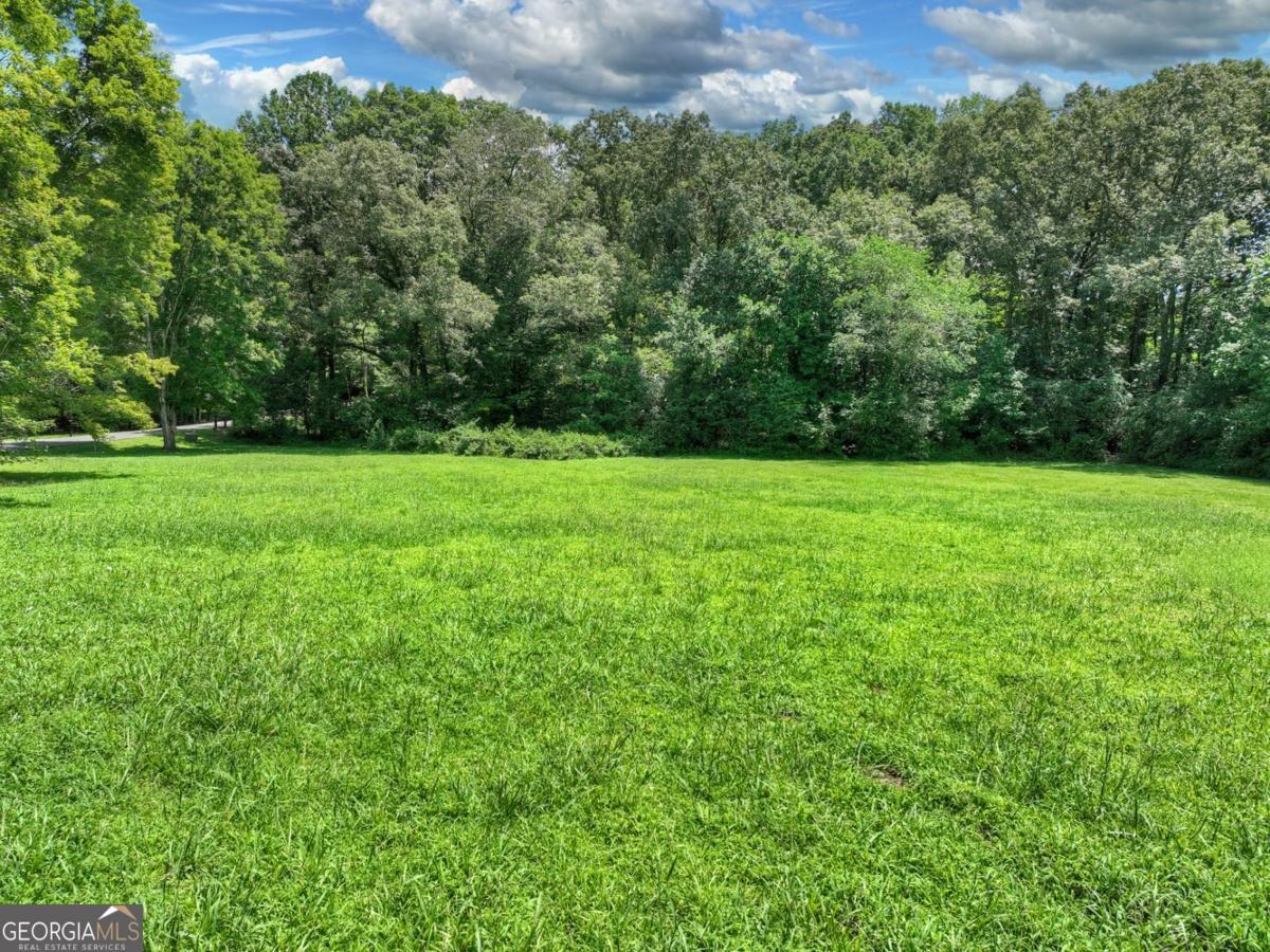 Lot 10 Cartecay Riv Run Ellijay, GA 30536 - Photo 6 of 17 a view of a grassy field with trees in the background