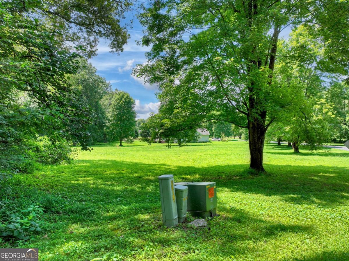Lot 10 Cartecay Riv Run Ellijay, GA 30536 - Photo 7 of 17 a view of a garden with trees