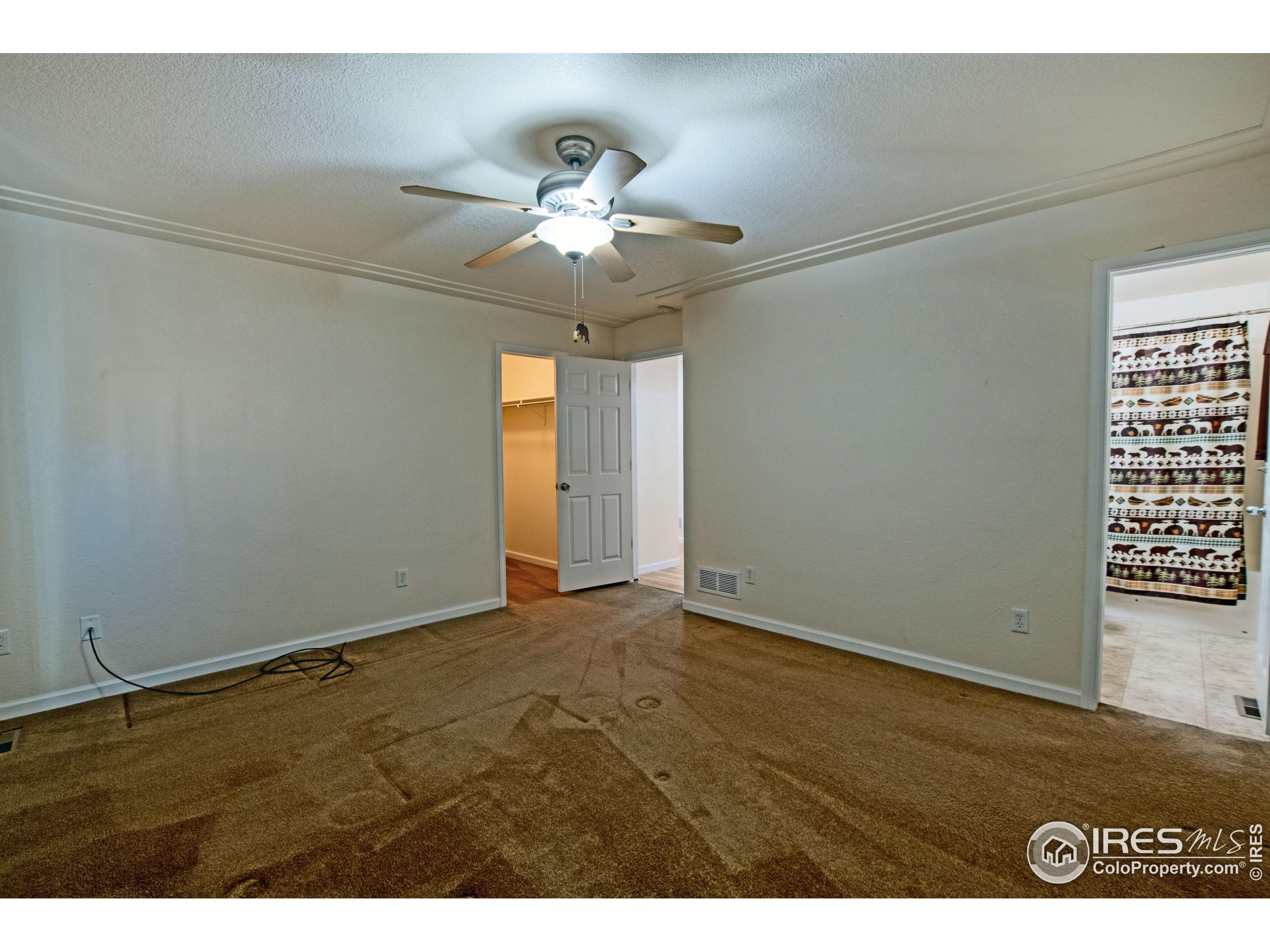 6937 Raleigh Street Wellington, CO 80549 - Photo 13 of 35