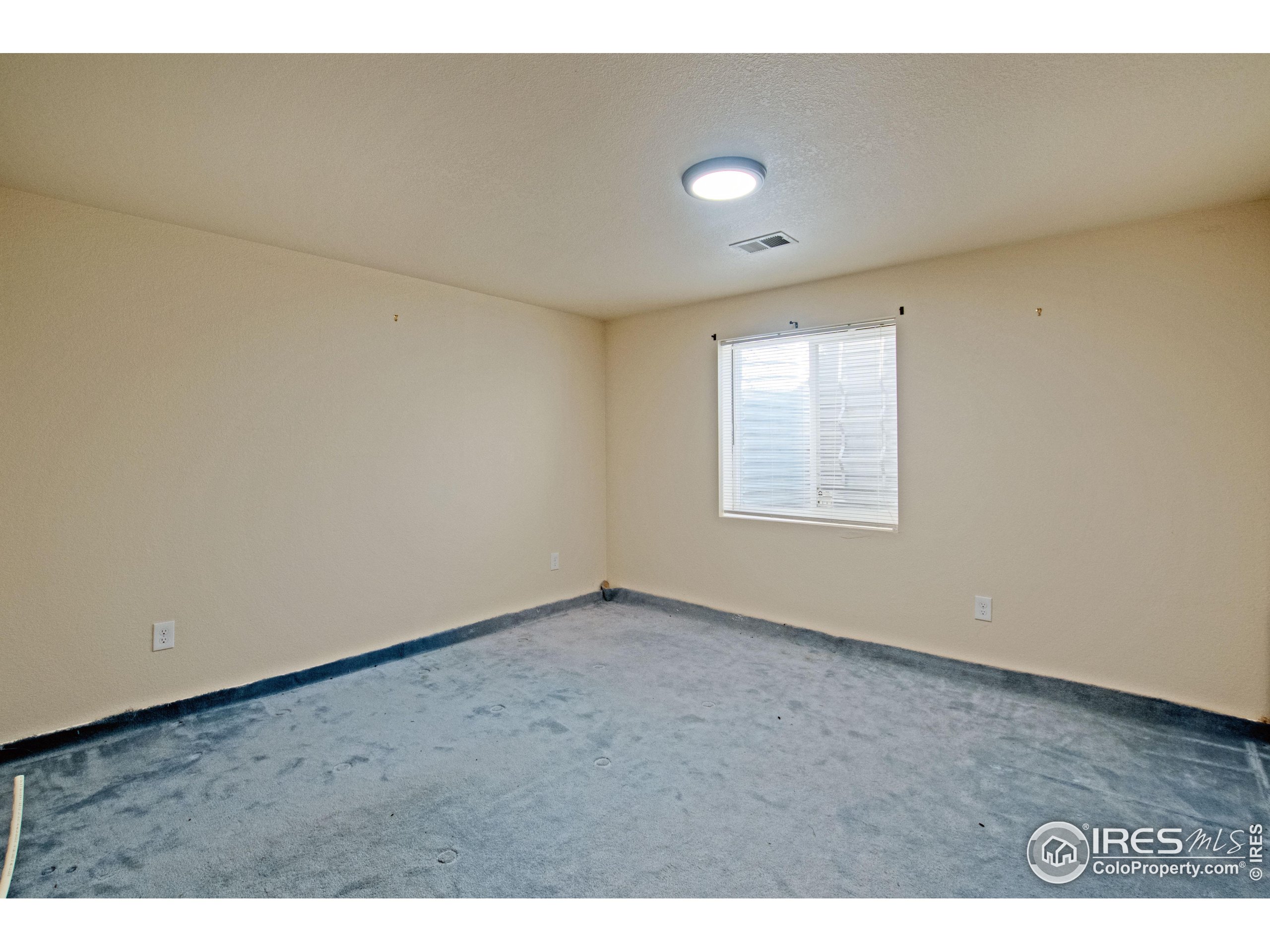 6937 Raleigh Street Wellington, CO 80549 - Photo 28 of 35