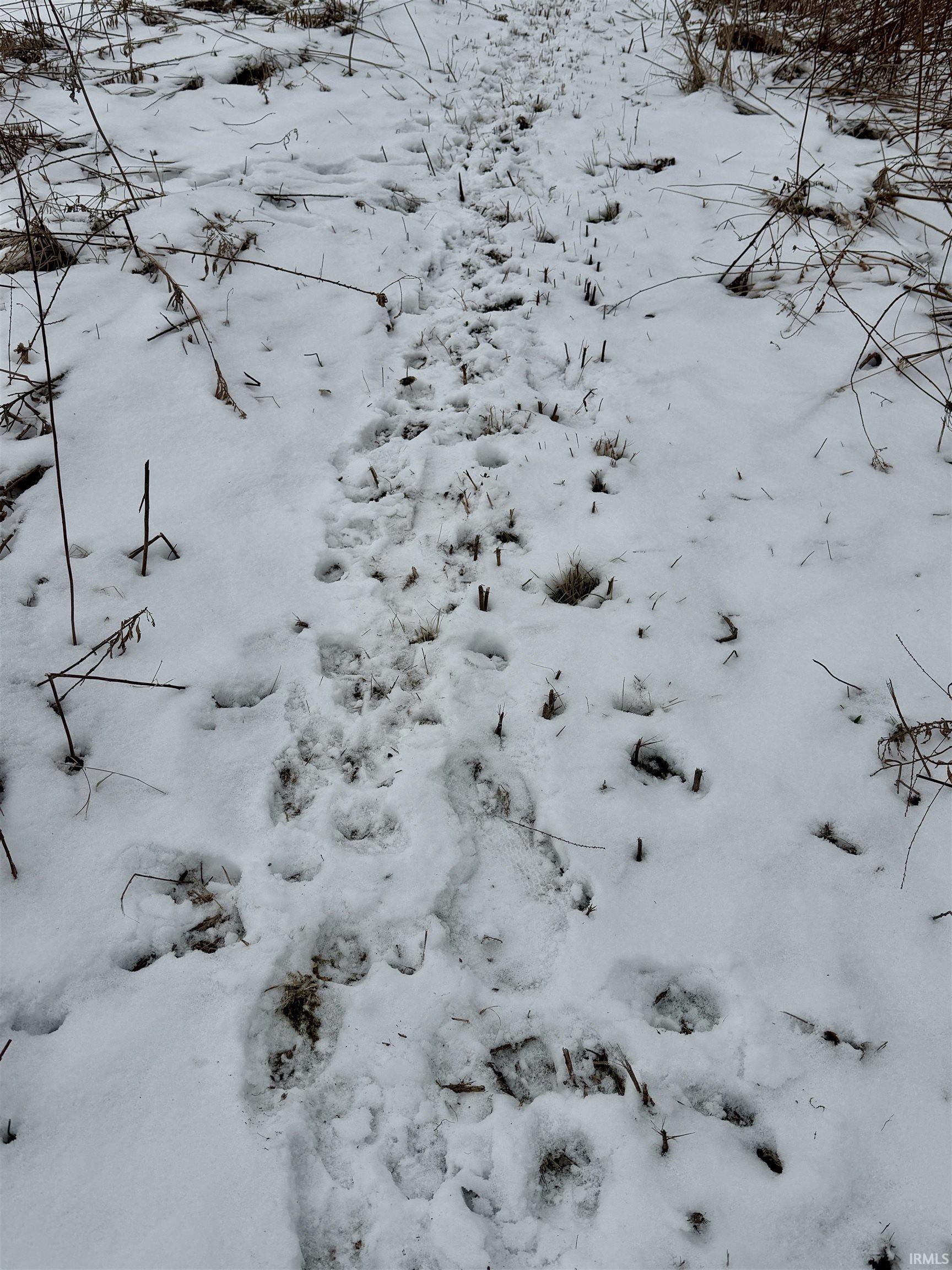 700 S Road Culver, IN 46511 - Photo 13 of 18