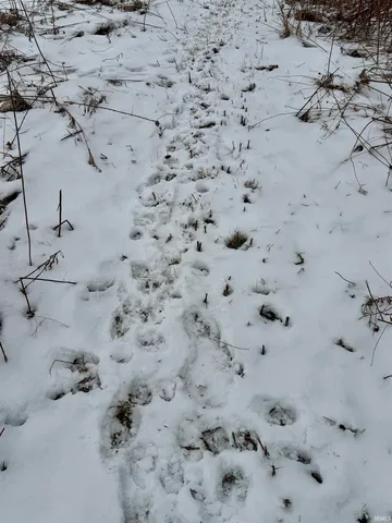 $95,000 | 700 S Road, Culver, IN 46511