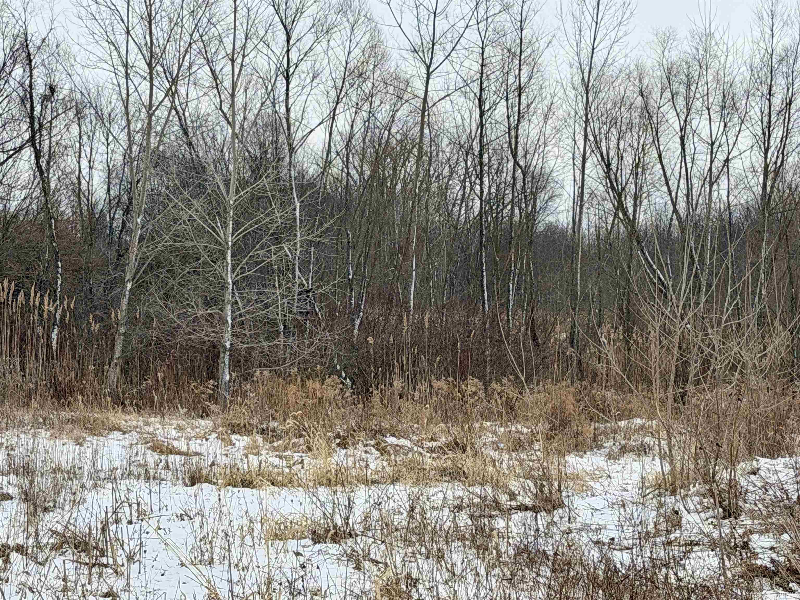 700 S Road Culver, IN 46511 - Photo 6 of 18