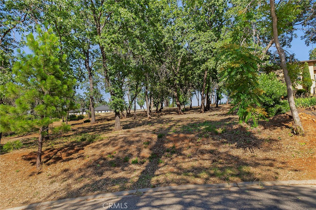 5760 Hollis Hill Road Paradise, CA 95969 - Photo 1 of 8
