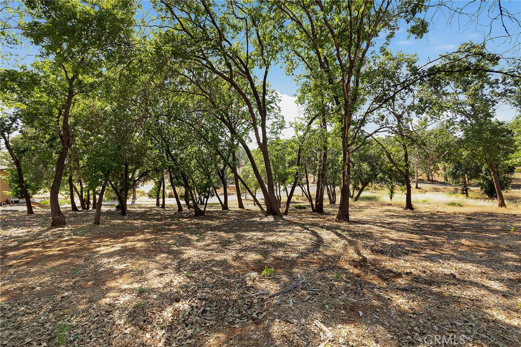 5760 Hollis Hill Road Paradise, CA 95969 - Photo 5 of 8