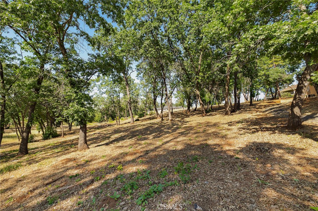 5760 Hollis Hill Road Paradise, CA 95969 - Photo 7 of 8