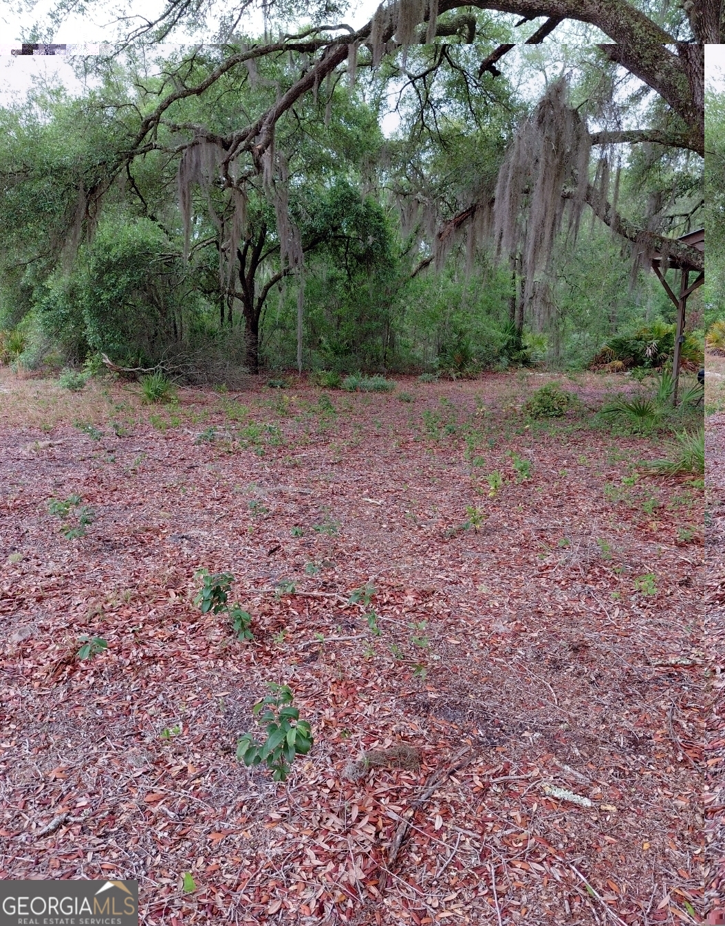 779 Ralph Davis Road, Unit 1 LAND LOT Folkston, GA 31537 - Photo 18 of 28 a view of a yard with a tree